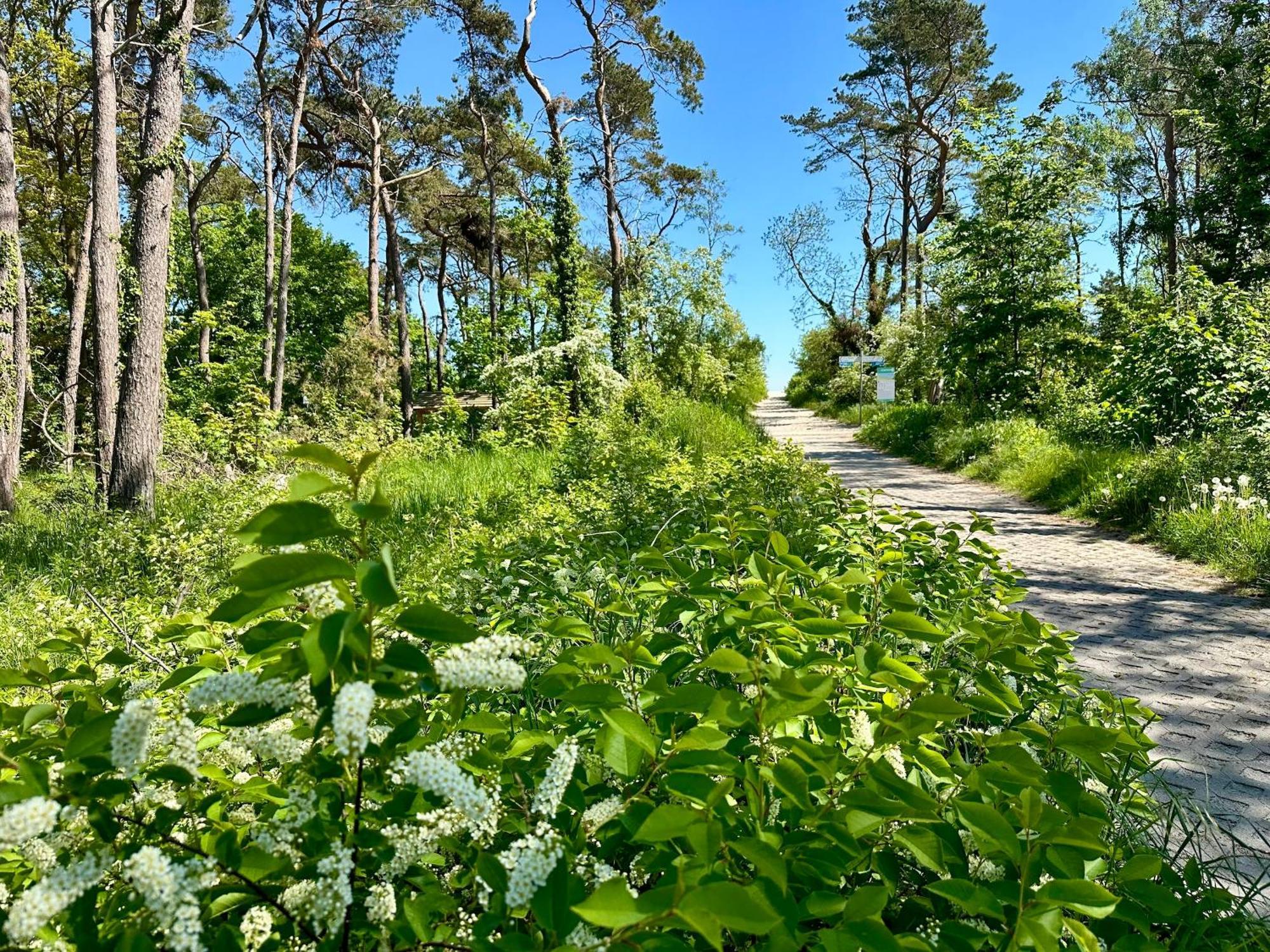 Finnhuette Nr.42 Auf Moenchgut Gager Exterior foto